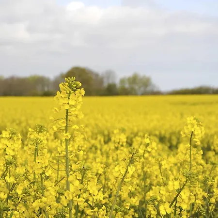 Apartament Thomsen Hasselberg (Schleswig-Holstein)